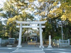 ���݂�������̌��_�Ђւ̓��e�ʐ^1