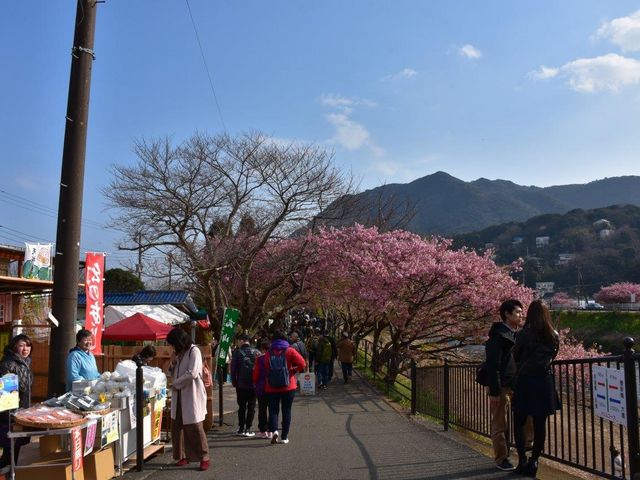 �͒Í��܂�_�͒Í��܂�