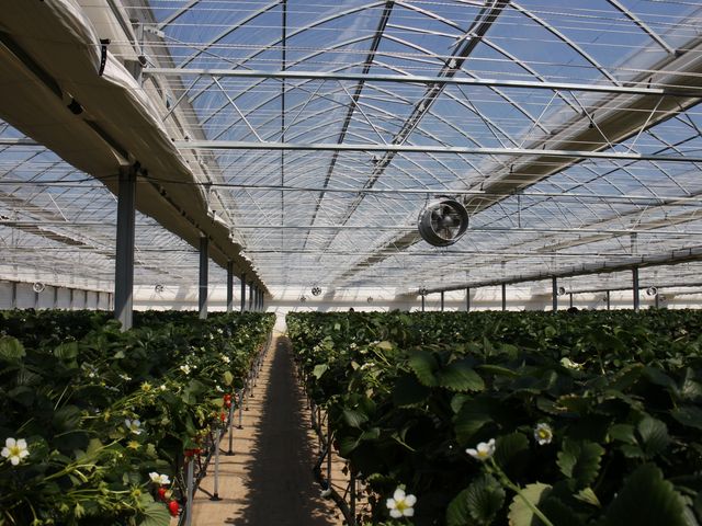 �n�E�X�̒��͂ƂĂ����ꂢ�ŁA���邢�ł�
��ו������郍�b�J�[���u����Ă��܂���_�݂̂�_��