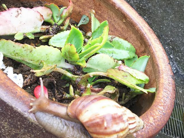 �J�^�c����_��َq��a ����X