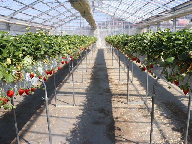 ���݃n�E�X_�唩���Y��������