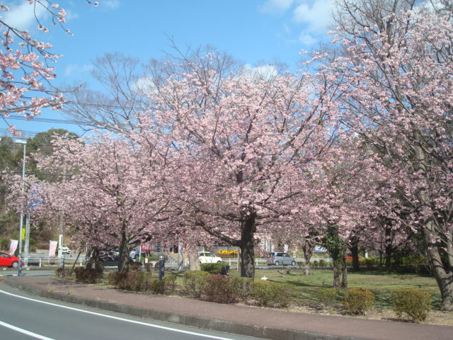 񂲂̃KXg ɓX̓eʐ^1