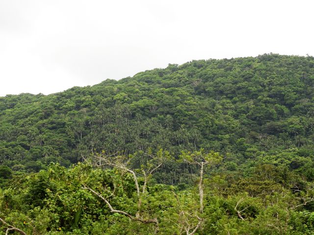 zin����̃E�u���h���̃��G���}���V�Q���̓��e�ʐ^2