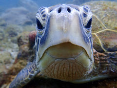 ��������񂳂�̉��v�����R�ē��ւ̓��e�ʐ^1