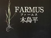 taro̓̉w e`qltrؓ̓eʐ^1