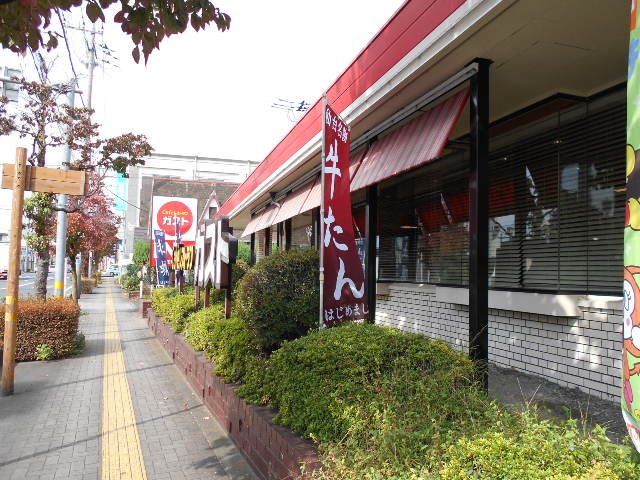 gV[̃KXg cwOX̓eʐ^1