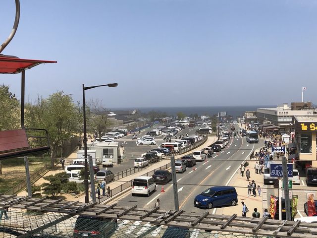 ���t�g����B��܂���_���捻�u