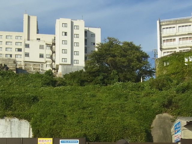 �O�J����_�O�J����