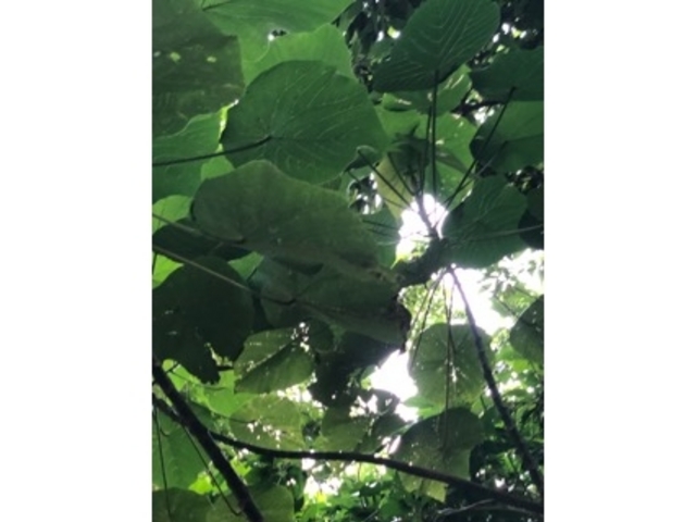 �厩�R_��Ԑ_��