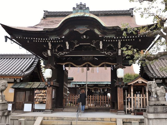 �O��̂悤�Ȕq�a_�Z�����_��