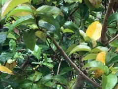 ҁ[̂̔nďhւ̓eʐ^1