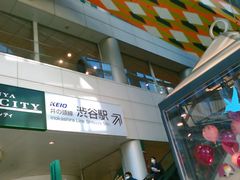 渋谷マークシティの写真一覧 じゃらんnet