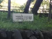 肻Ȃ̏佋LOpق̓eʐ^1