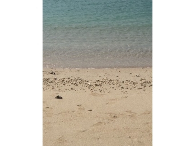 �L���C_���ԕl