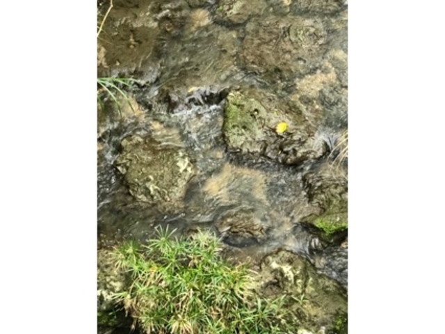 ���R������_�~�[�t�K�[