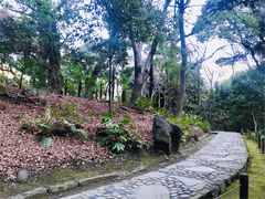 �߂̂�����̖ؑ]�R�i���ΐ��y���j�ւ̓��e�ʐ^1