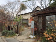 ݂̖̂̂؁@ZAKKA@cage̓eʐ^1