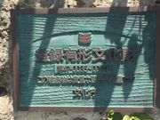 悿񂳂̂ނ傤̓eʐ^3