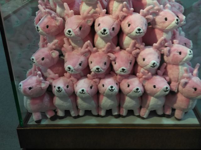 �s���N��F�̂ʂ������_�≺�̐V���I�~���[�W�A��