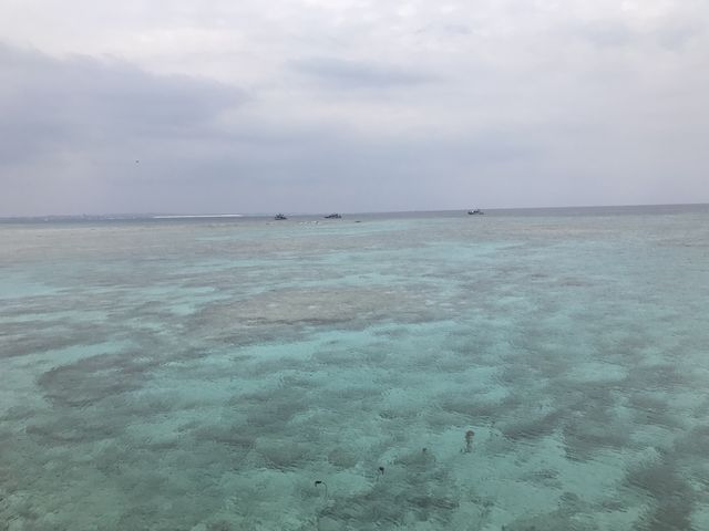 �����ǂ���A�ł��Y��_������ЂƂ�����