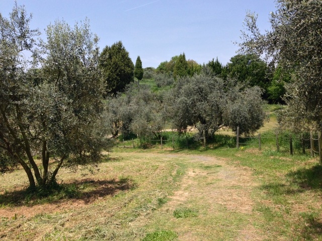 �܂�����̋����I���[�u���̃I���[�u�̓��e�ʐ^1