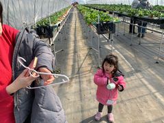 lyrãXgx[BbWւ̓eʐ^2