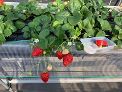 lyrãXgx[BbWւ̓eʐ^3