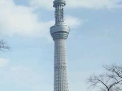 ɂǂ񂳂̓\}`ւ̓eʐ^1