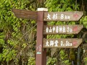 w-masa����̑�t���̓��e�ʐ^1