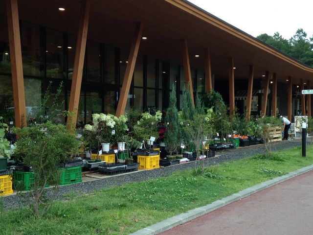 Ă͕c𑽂Ă܂B|Dɂ͂܂܂_y򔭒ns