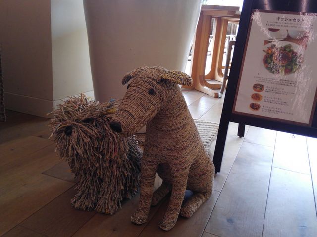 o}_yCXg[XibtX ۂ됴cX