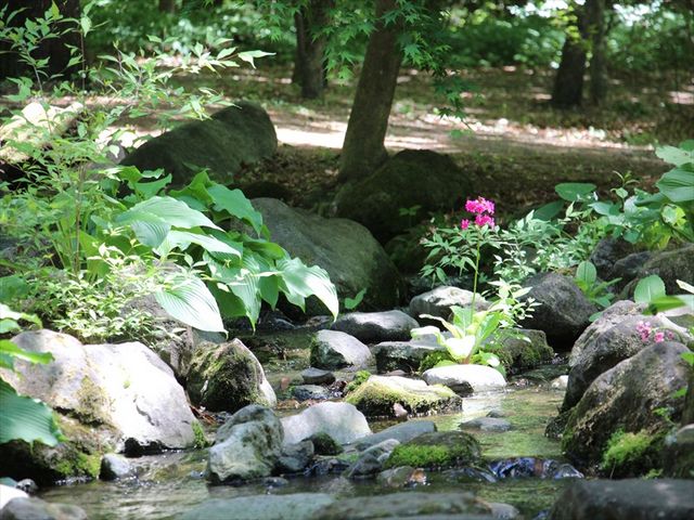 �����Ɖ�_�ԏ鎩�R��