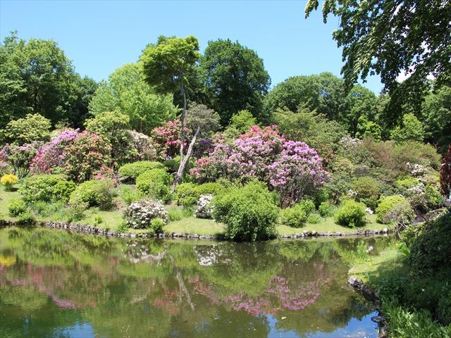 �r�ƃc�c�W_�ԏ鎩�R��