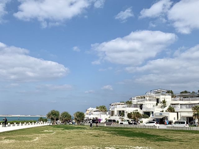 ���������̒����ڗ����܂�_�������E�~�J�W�e���X