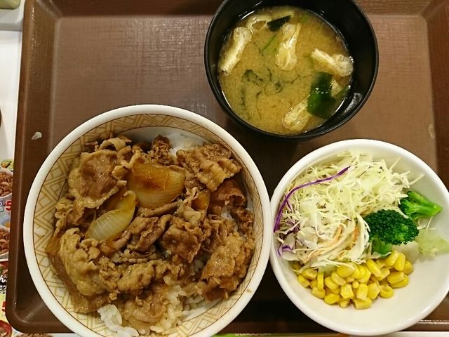 T_ƖX`500~_ ʒ˖{X