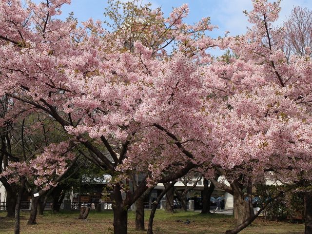 �������_�������