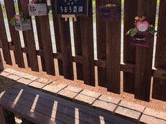 ei-mam̂邤_ւ̓eʐ^1