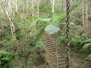 ݂΂񂳂̍Xь̓eʐ^1