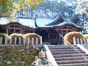 ���ڂ炳��̐V�{�_�Ђ̓��e�ʐ^4