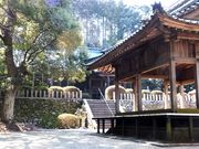 ���ڂ炳��̐V�{�_�Ђ̓��e�ʐ^5