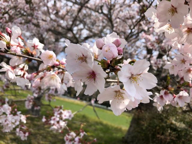 �Ƃ��Ă��Y��ȍ��ł���_�������_���@��t�@�[��