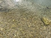 [Â̏oi{錧쒬j̓eʐ^1