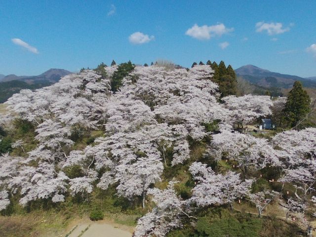 stonemeister̒隬̍̓eʐ^1