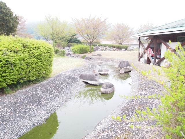 ĂɂȂƐVтł_̉w CtH[VZ^[