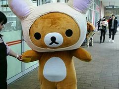 無添くら寿司 南千住店の写真一覧 じゃらんnet