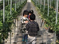 ݂悳̂񂢂t@[ւ̓eʐ^1