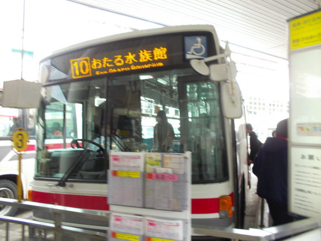 �o�X�̎ʐ^_�k�C�������o�X