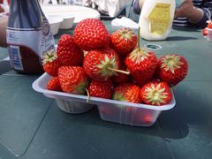 [̃Xgx[tB[hւ̓eʐ^1