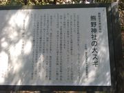 L^J̌F_Ђ̑吙̓eʐ^5