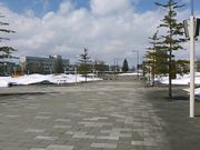 L^ĴނĂiŏ㒆j̓eʐ^3